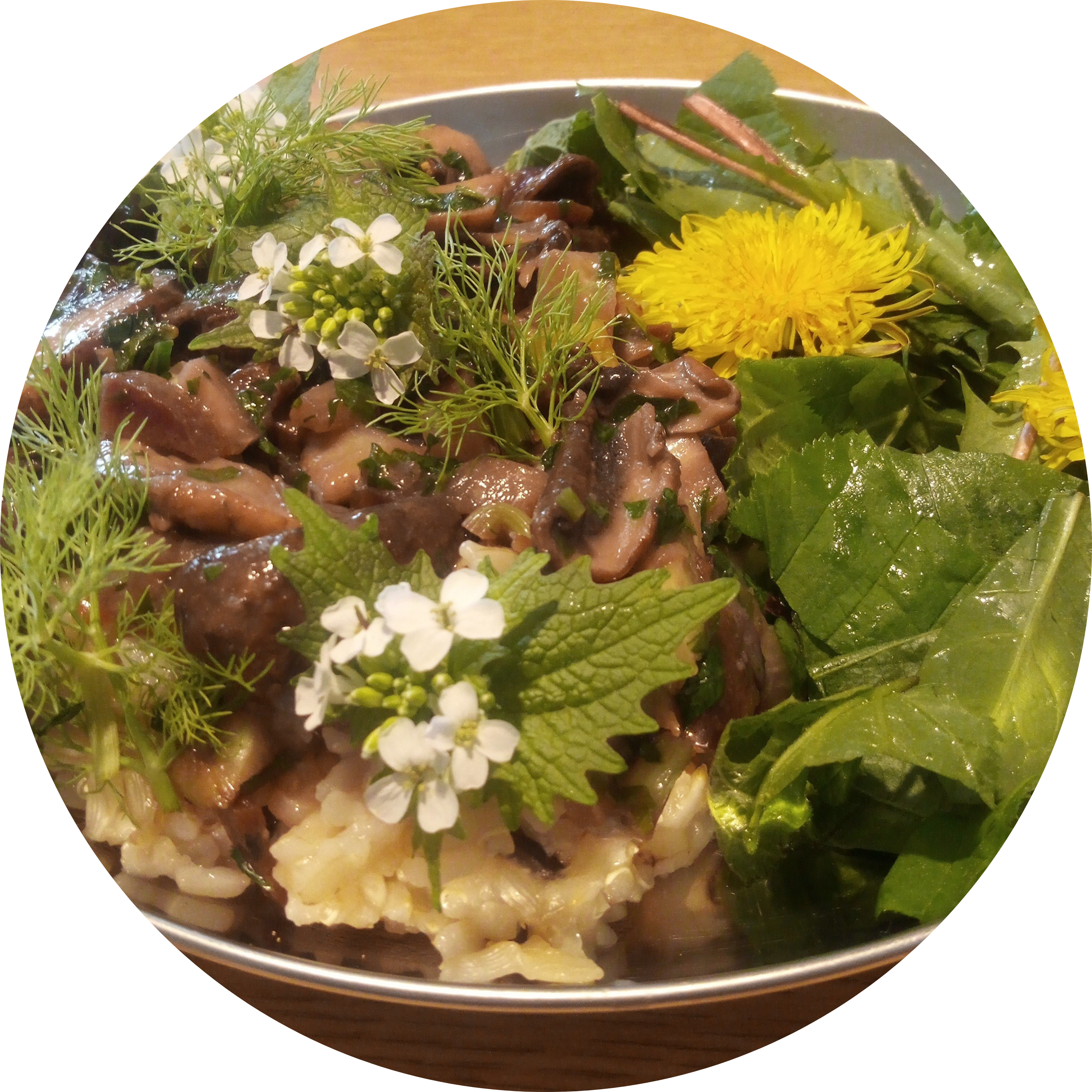Quinoa-Reis mit Löwenzahn-Salat (Lutelphase)
